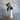 HLM Apolline Vase