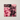 When Simon Met Ralph "Dripping Skull with Cala Lilies" Canvas 2025