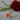 Alpaca Flower Red